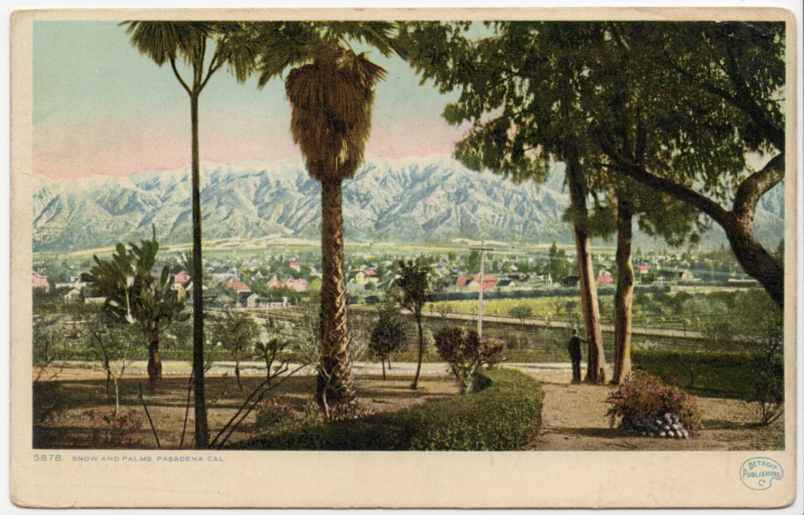 Snow and Palms Pasadena California 1920 Lithograph Posted Postcard