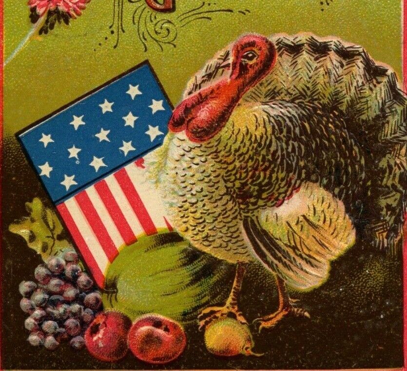 Thanksgiving Greetings Patriotic Turkey Border Embossed Postcard