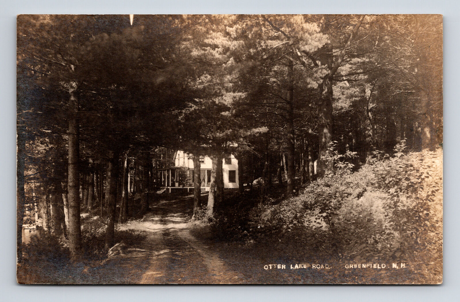 1920 RPPC Scenic Wooded Otter Lake Road Greenfield NH Postcard