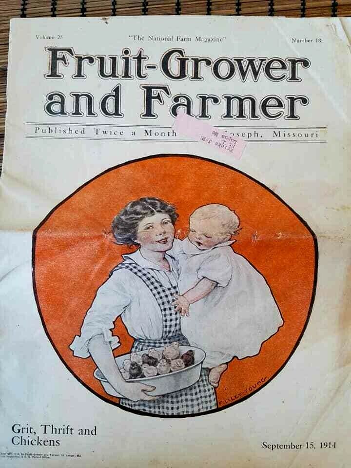Scarce 1914 FRUIT GROWER AND FARMER Magazine September St. Joe MO