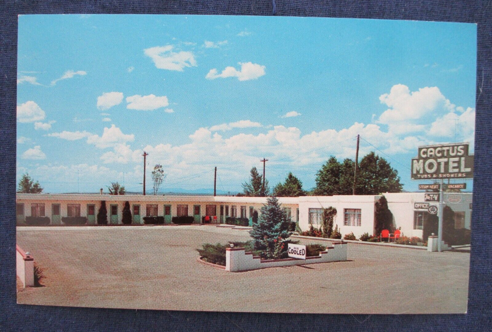 1960s Moriarty New Mexico Cactus Motel Route 66 Postcard