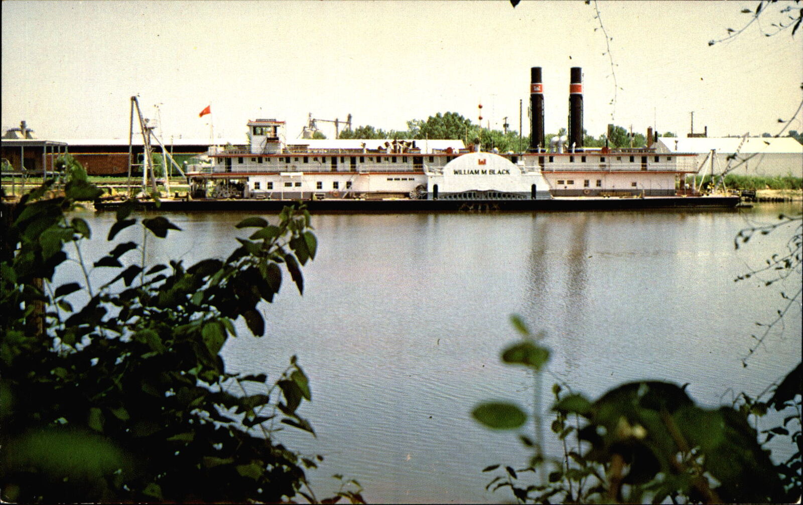 Sidewheel steamboat William M Black ~ vintage postcard