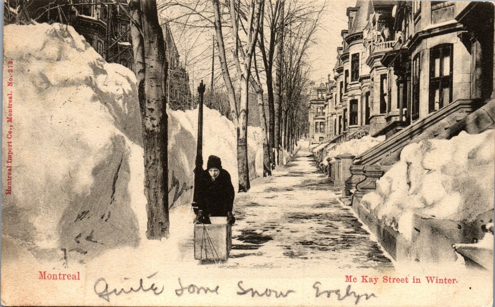 McKay Street, Montreal, Canada Postcard (1906)