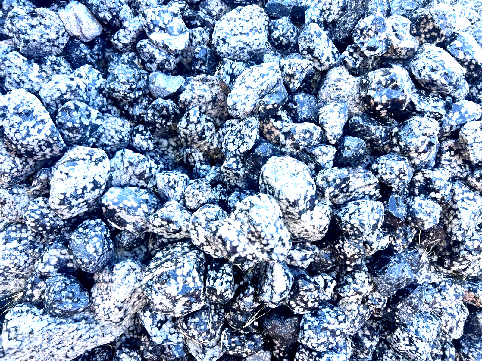 1 lb of Unique Snowflake Obsidian Rough Stones Cabbing Tumble Rocks Decoration