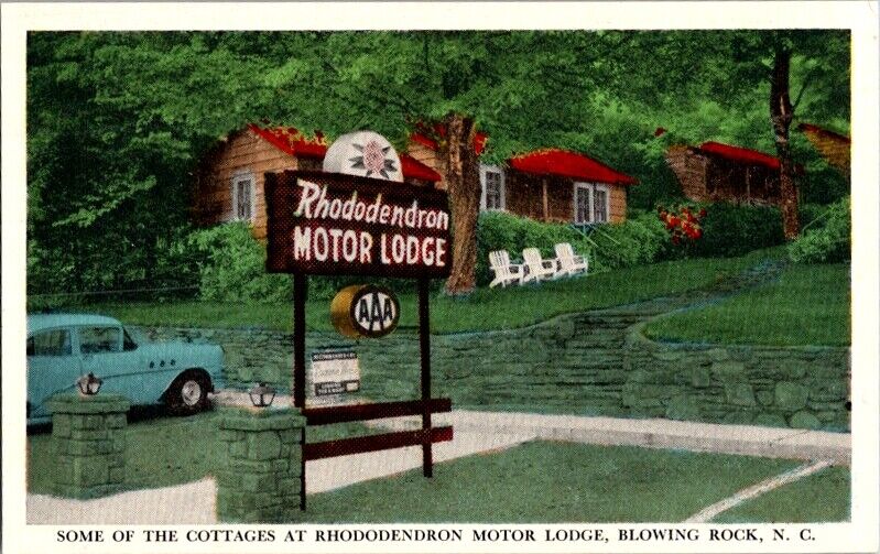 Postcard Rhododendron Motor Lodge Motel Blowing Rock NC North Carolina     I-695