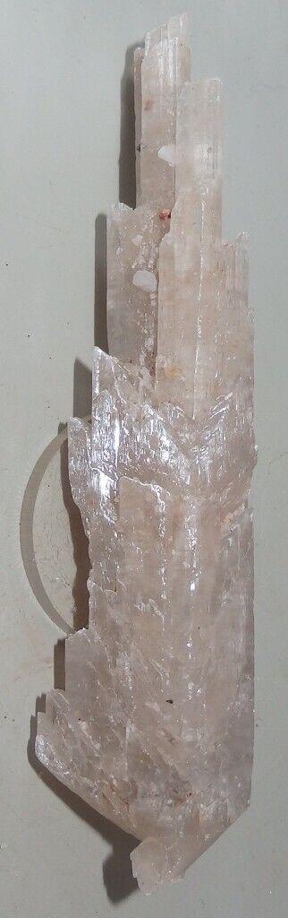 Gypsum Selenite - Fishtail - Kimba Gap  S.A. MIneral specimen 105x20mm  #1961