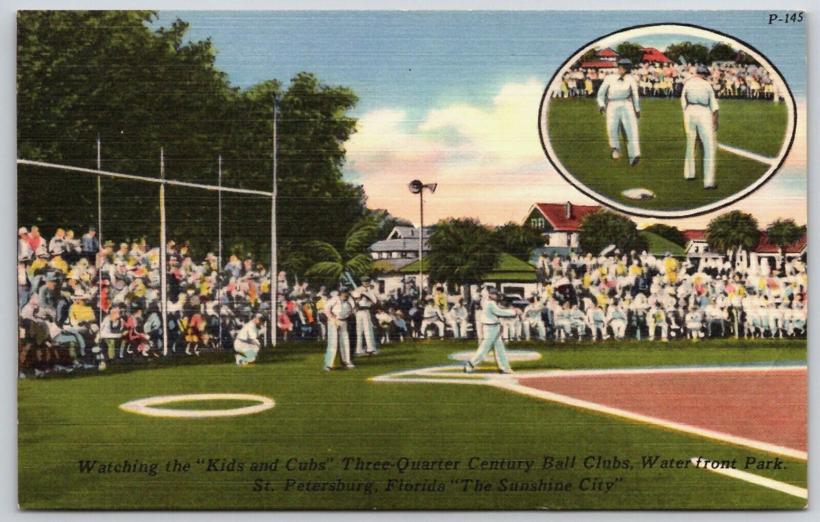 Vintage Postcard- Baseball Waterfront Park - Kids & Cubs  St. Petersburg Florida