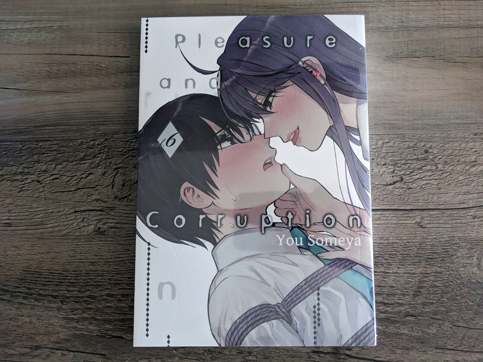 Pleasure and Corruption Vol 6 - Brand New English Manga You Someya Drama Seinen