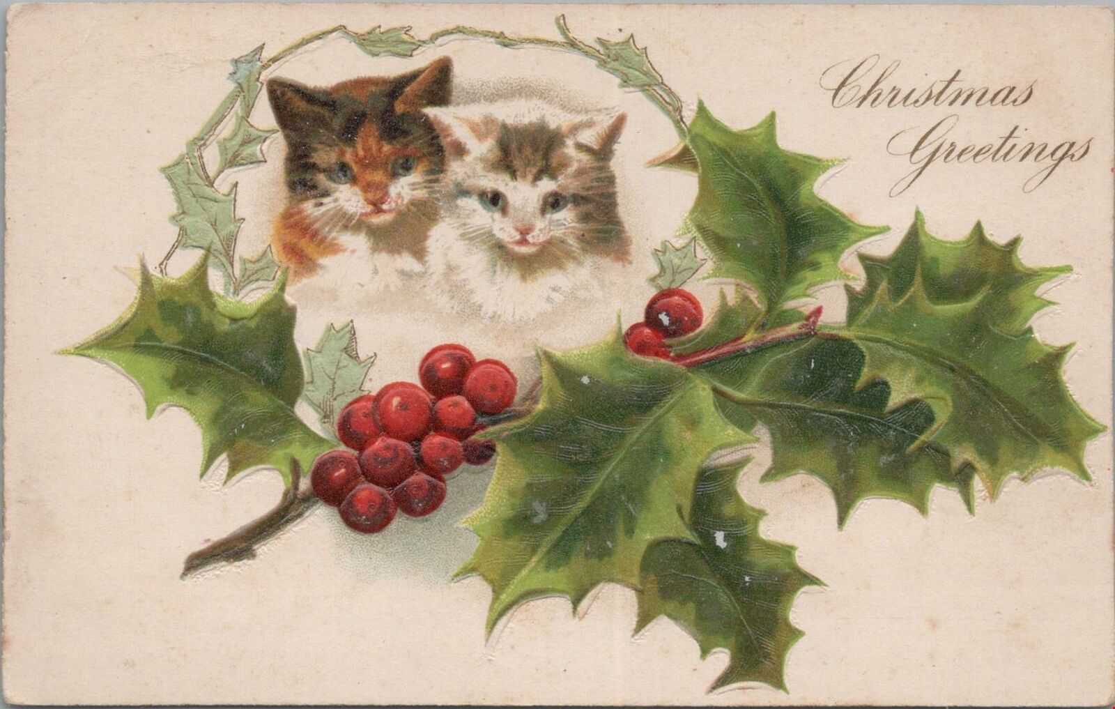 Postcard Christmas Greetings Cats + Kittens + Holly 
