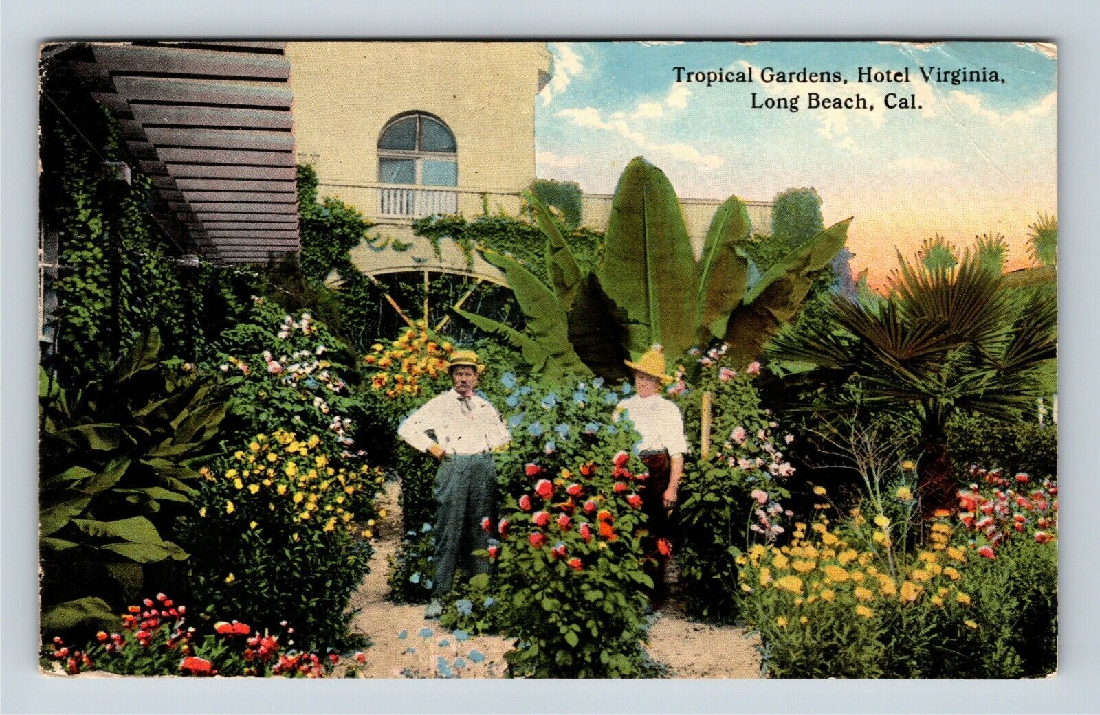 Long Beach CA, Hotel Virginia, Gardens, California c1916 Vintage Postcard