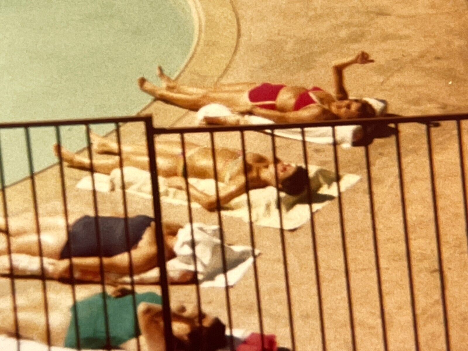 G7 Photograph 1978 Bathing Beauties California Sun Poolside Bikini Women 