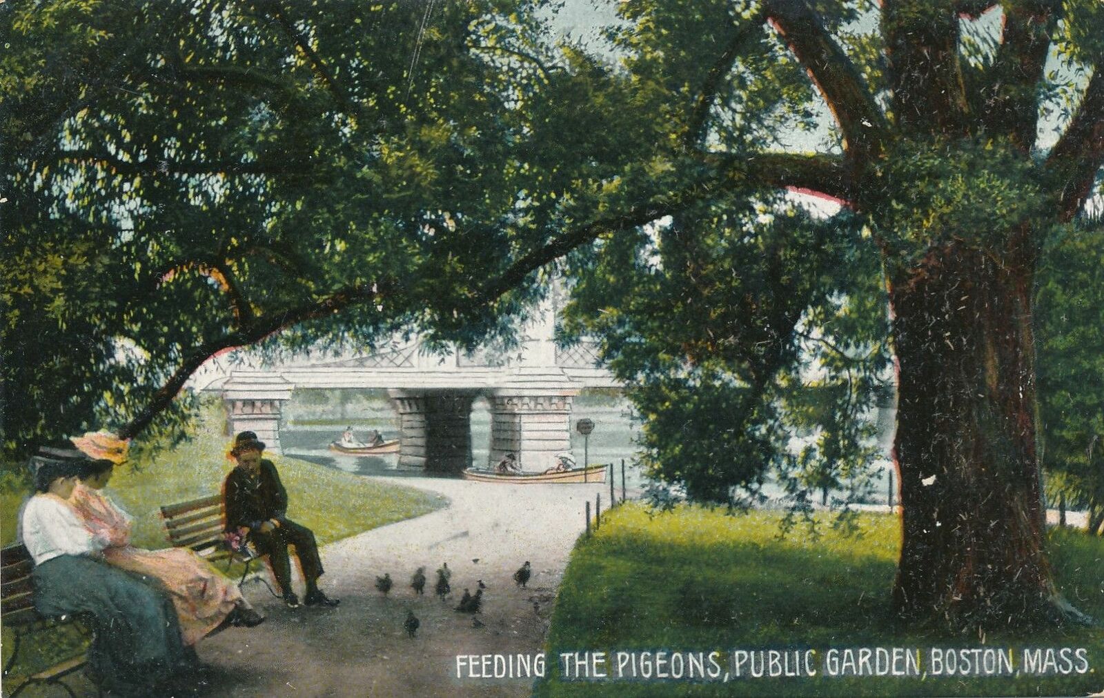 BOSTON MA - Feeding the Pigeons Public Garden - 1908