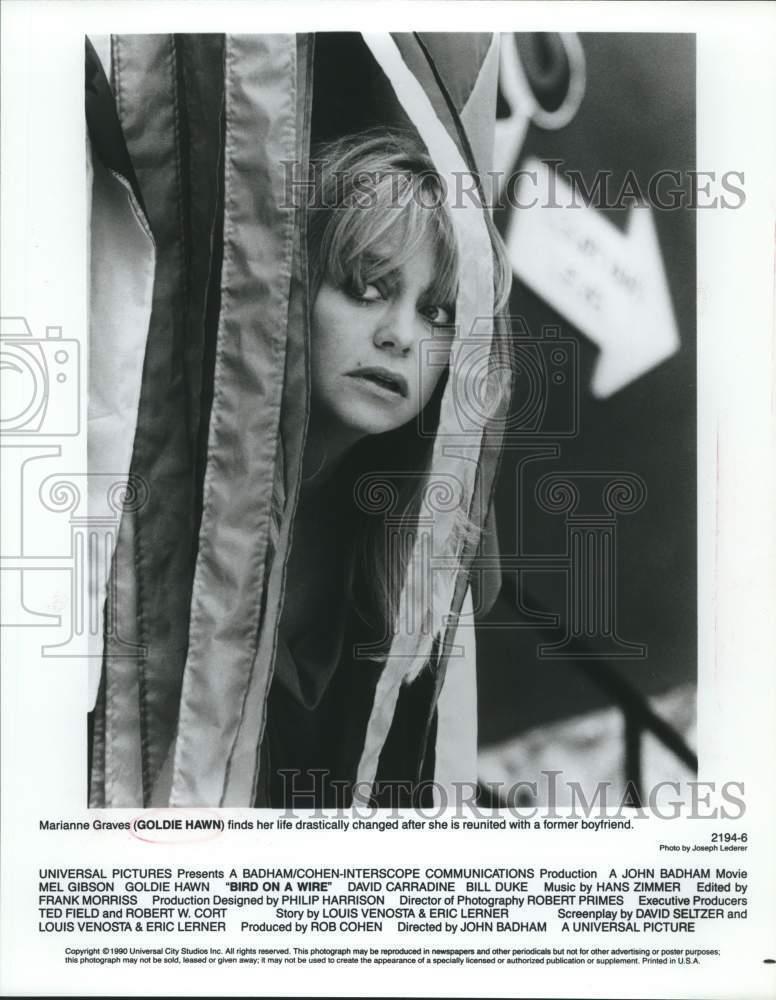 1990 Press Photo Actress Goldie Hawn in \