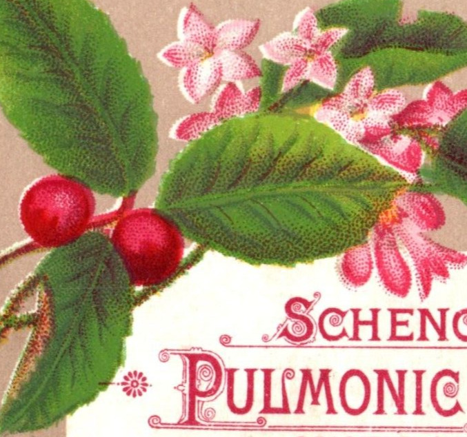 1880s Schenck\'s Pulmonic Syrup Mandrake Pills & Seaweed Tonic Quack Lot Of 3 P57