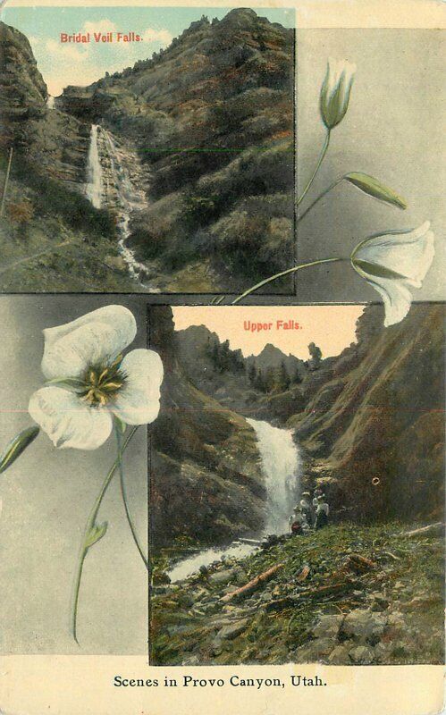 Beautiful Flowers Bridal Veil Upper Falls 1913 Postcard Souvenir 21-3277