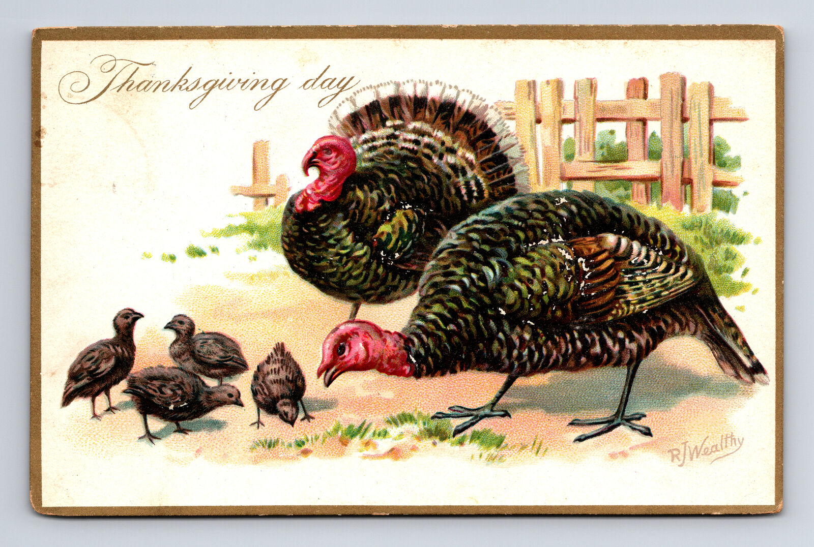 c1908 TUCKS Embossed Thanksgiving Day Turkeys & Chicks Postcard