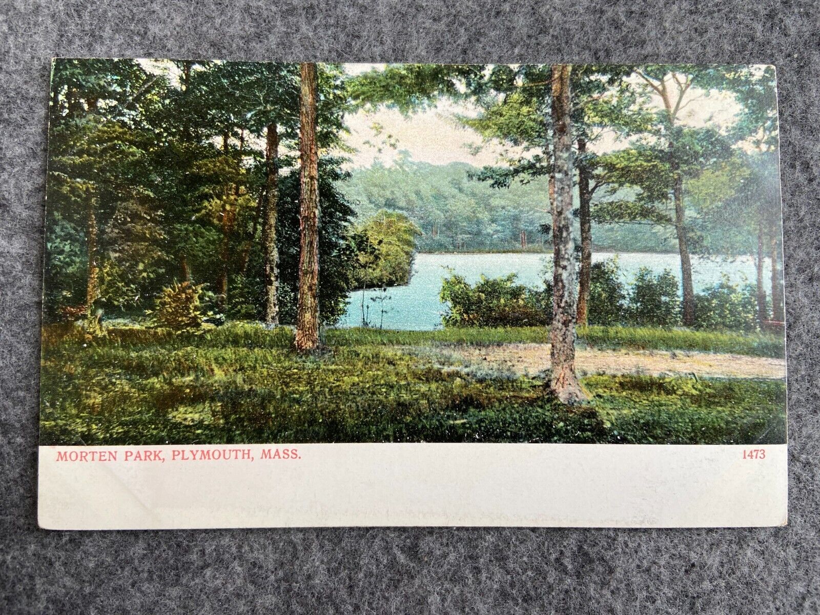 Morten Park, Plymouth Massachusetts Vintage  Postcard