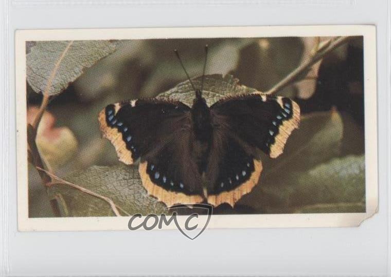 1983 Doncella British Butterflies Tobacco Camberwell Beauty #15 1i3