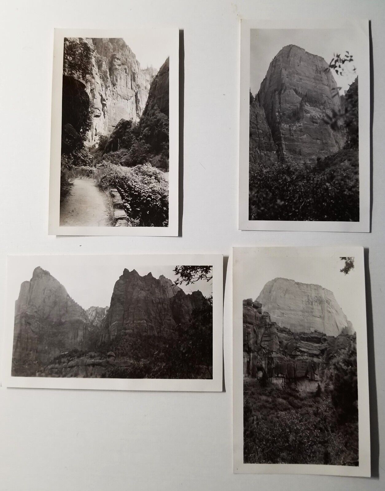 1941 Jul Zion Nat\'l Park Utah - Patriarchs - Narrows - White Throne 4 photos