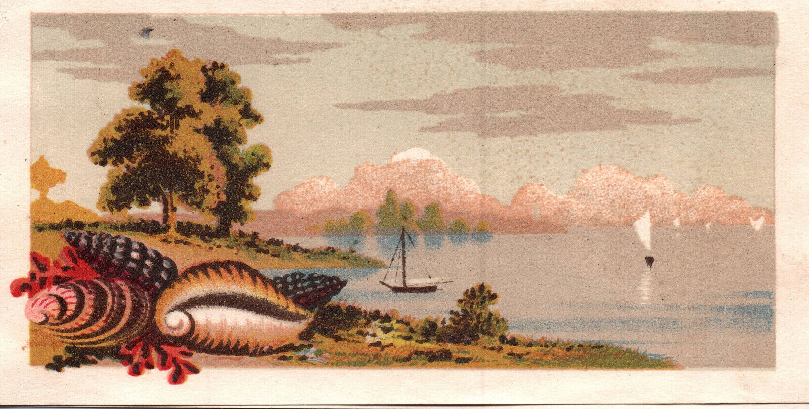 Rare 1870s-80s Victorian Card- Unprinted- Sea Shells- Ocean scene