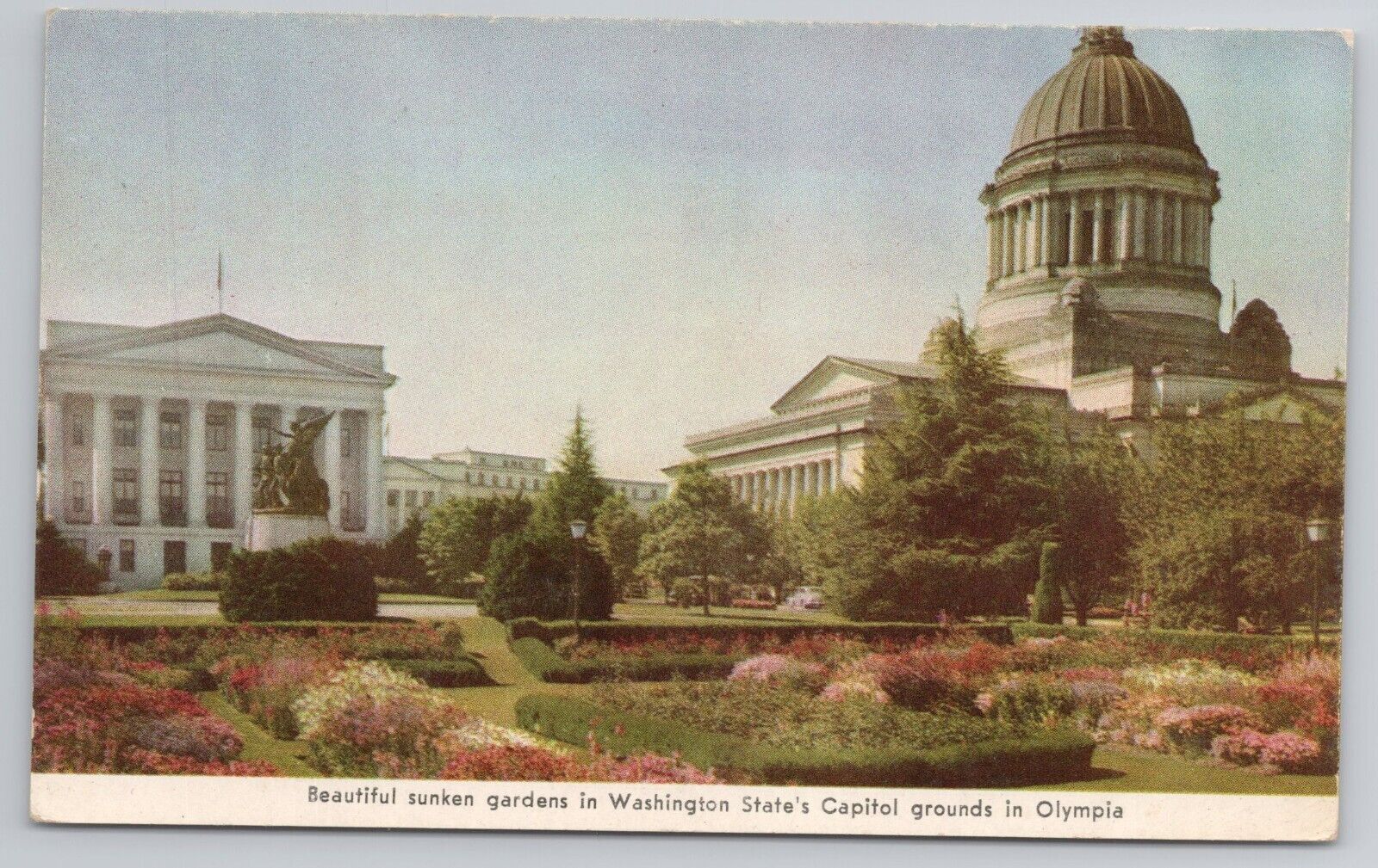 Washington State Capitol Gardens Postcard