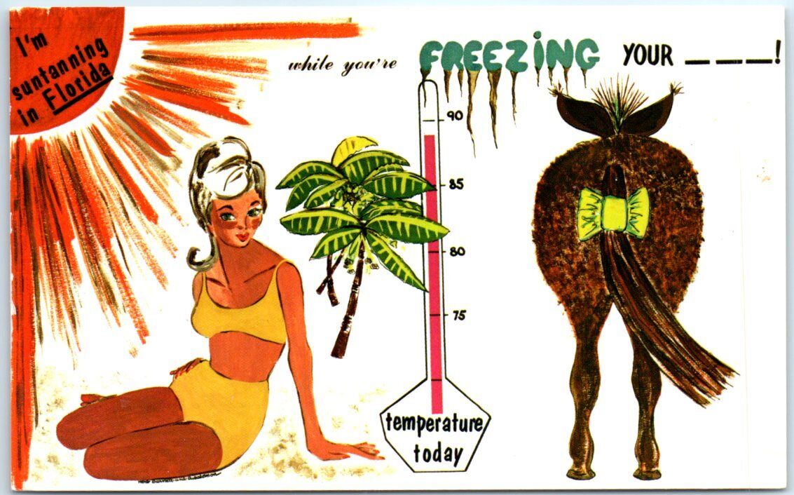 Postcard - Sun Tanning in Florida, USA