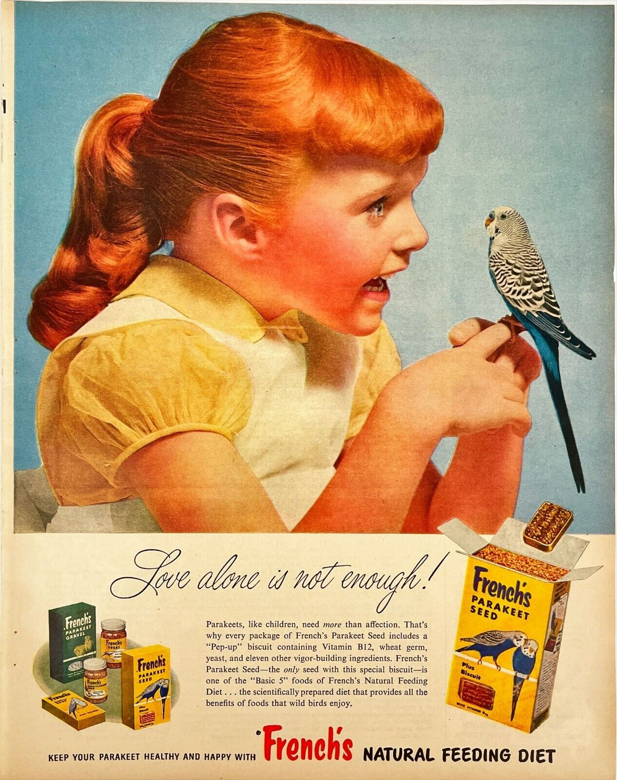 Vtg French\'s Cute Parakeet Blue Bird Redhead Girl Retro Print Ad Magazine 1957