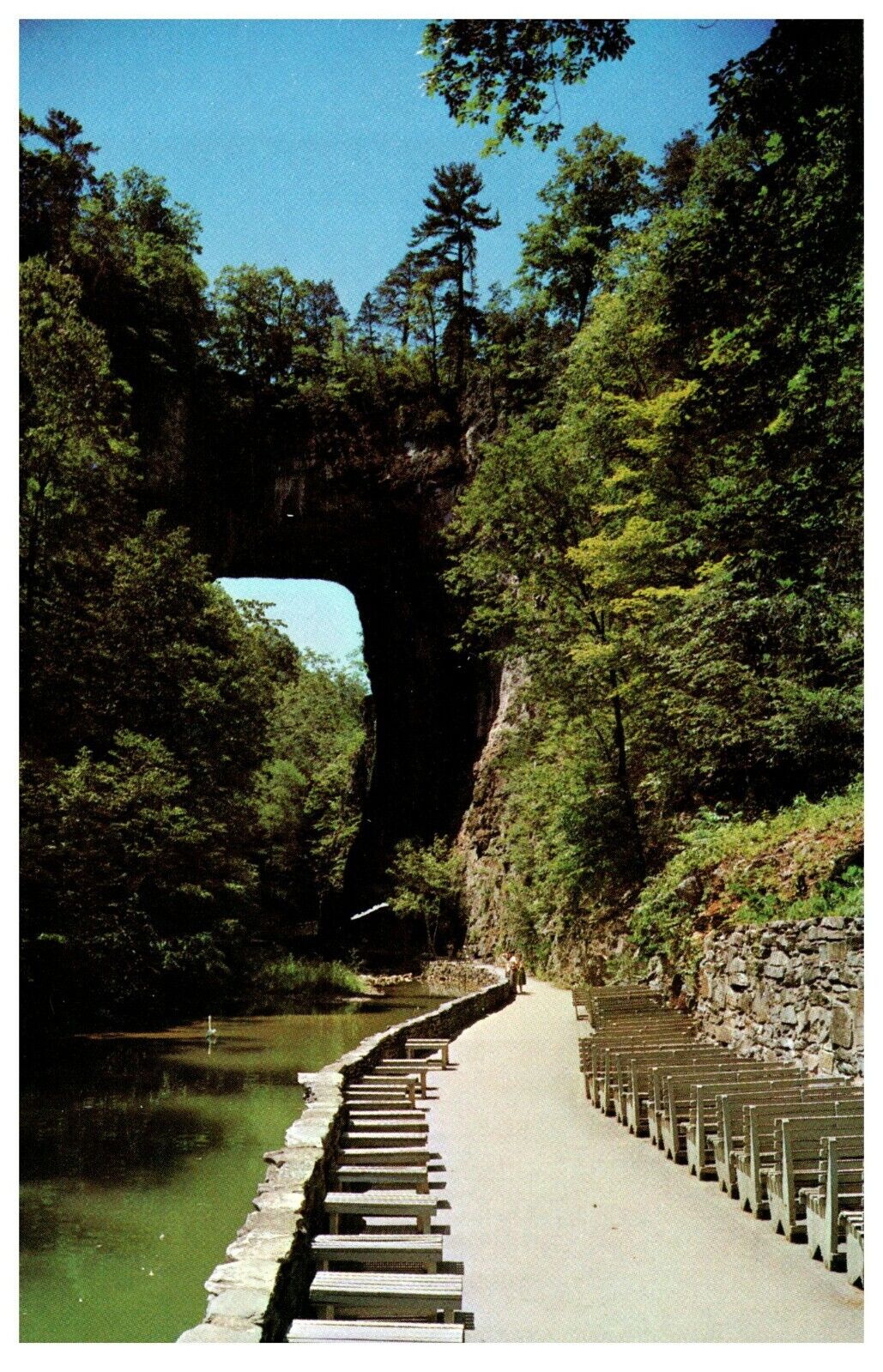POSTCARD VTG Natural Bridge Shenandoah National Park Virginia VA Vintage