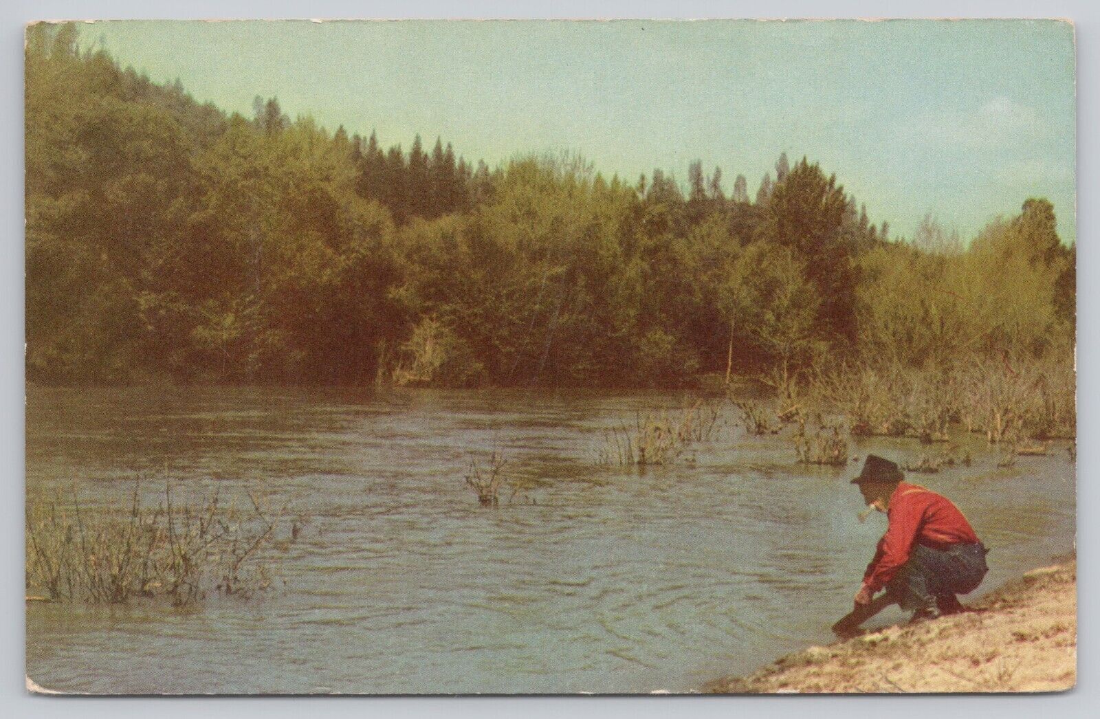 Placerville California, Gold Panning American River, Vintage Postcard