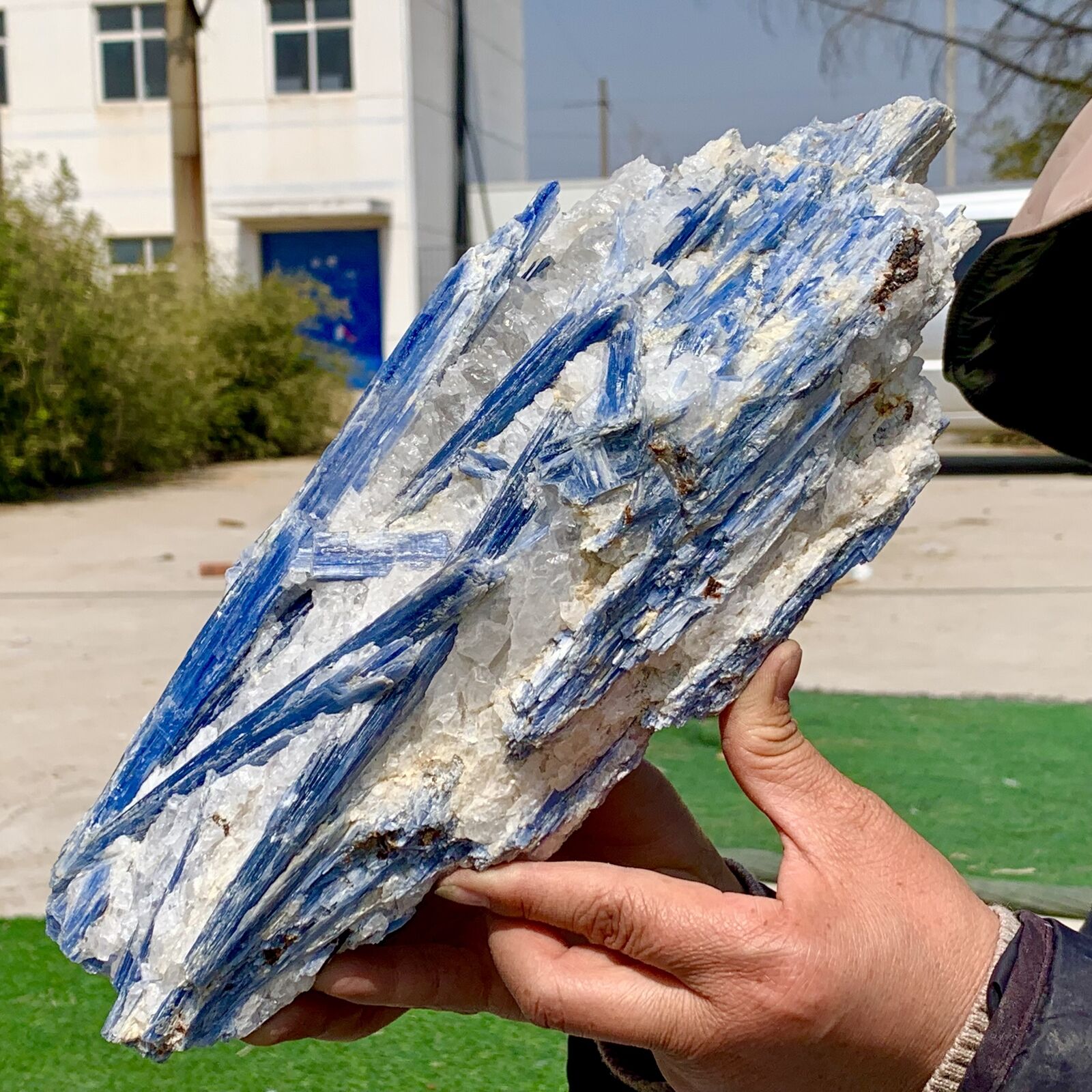 8.78LB Rare Natural beautiful Blue KYANITE with Quartz Crystal Specimen Rough