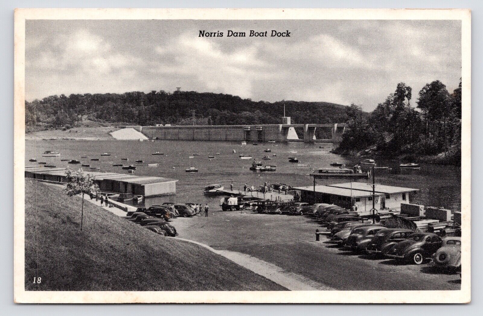 c1940s~Norris Lake Boat Dock~Tennessee TN~Clinch River~Dam~Cars~Vintage Postcard