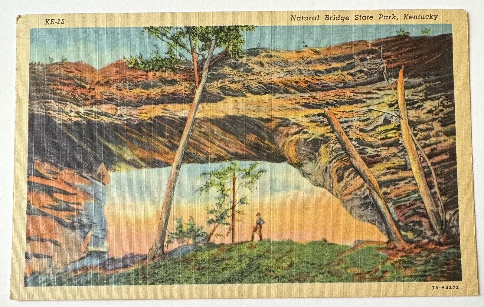 Vintage 1950S Postcard Natural Bridge State Park Kentucky Saint Louis Missouri