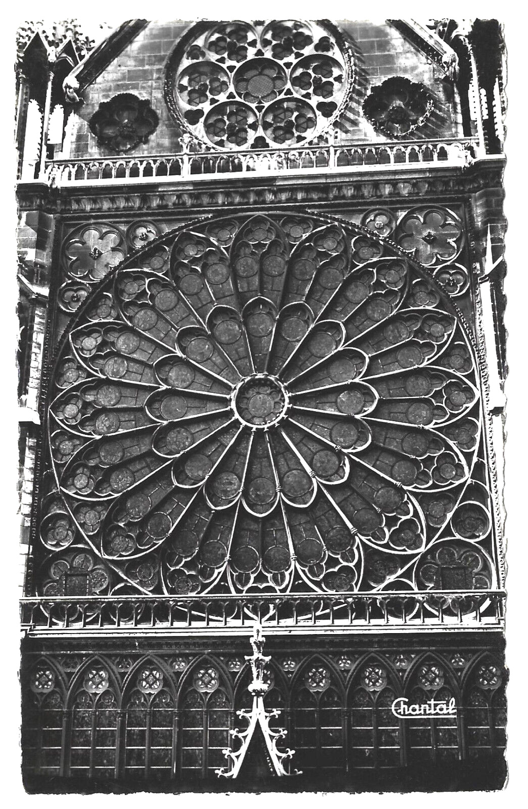 France PARIS Notre Dame Stained Glass Rose North Window Vintage RPPC Postcard