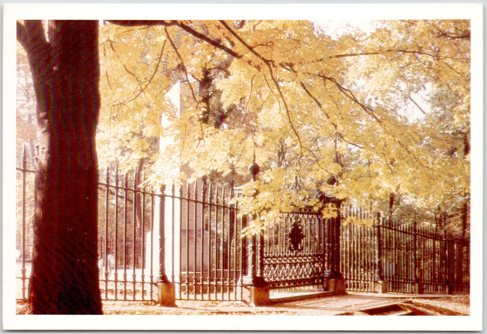 Monticello Charlottesville Virginia Thomas Jefferson Tomb USA Vintage Postcard