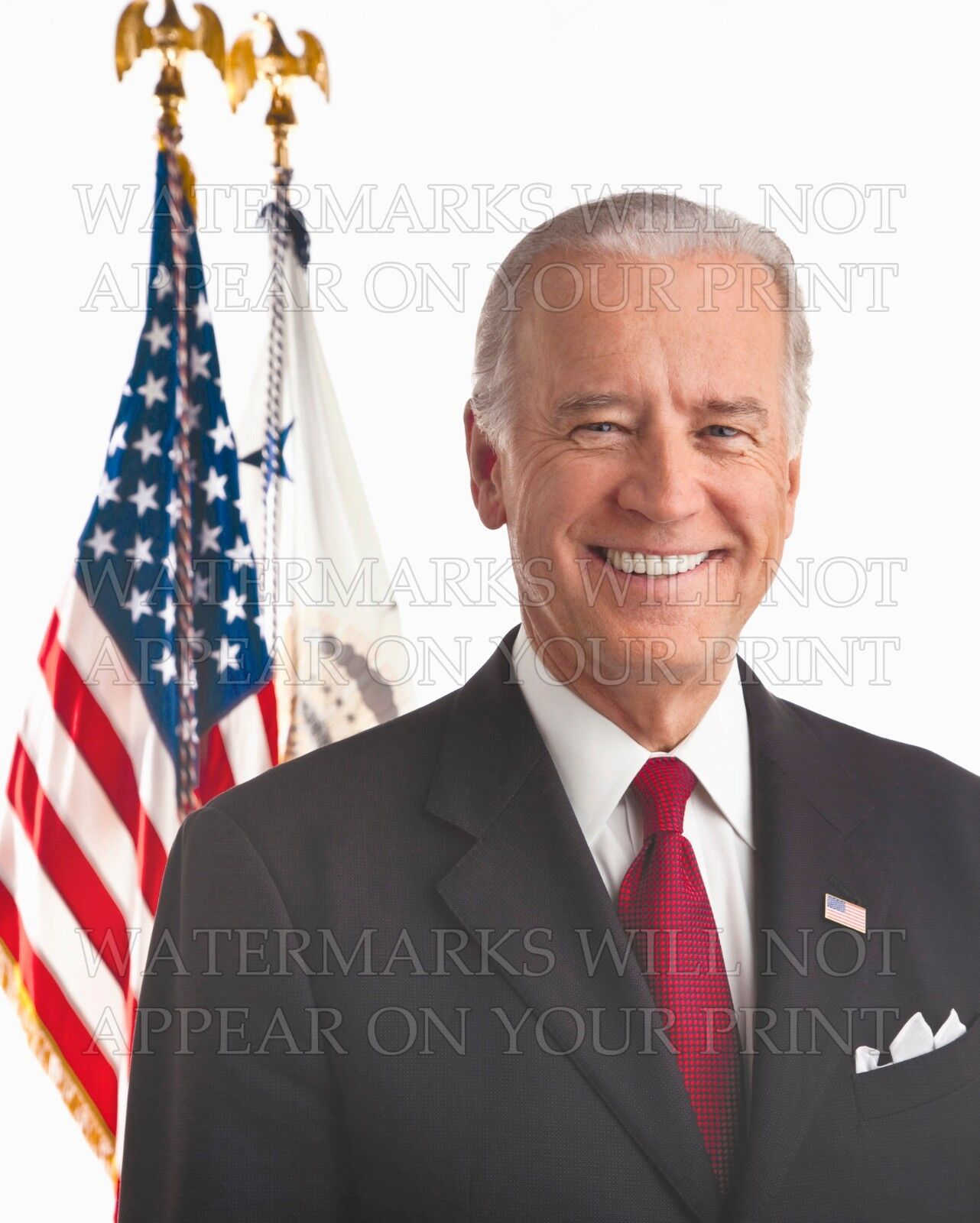8x10 photo print: President Joe Biden official 2009 VP portrait Joseph Robinette