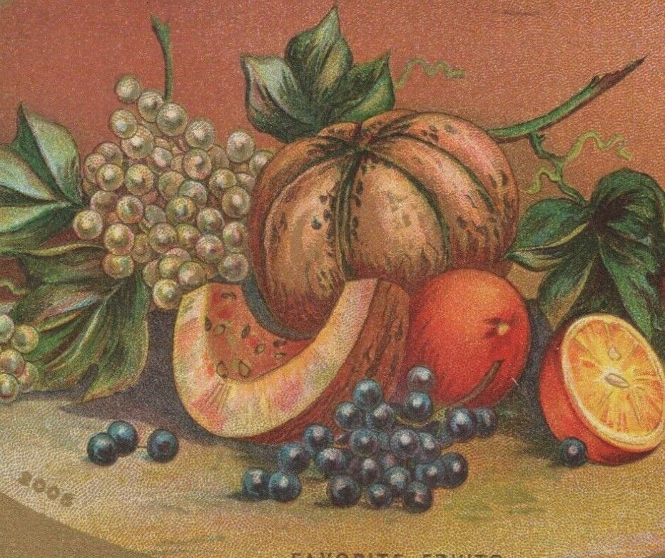 Favorite Fruits grapes orange apples pumpkin c1910s postcard A877
