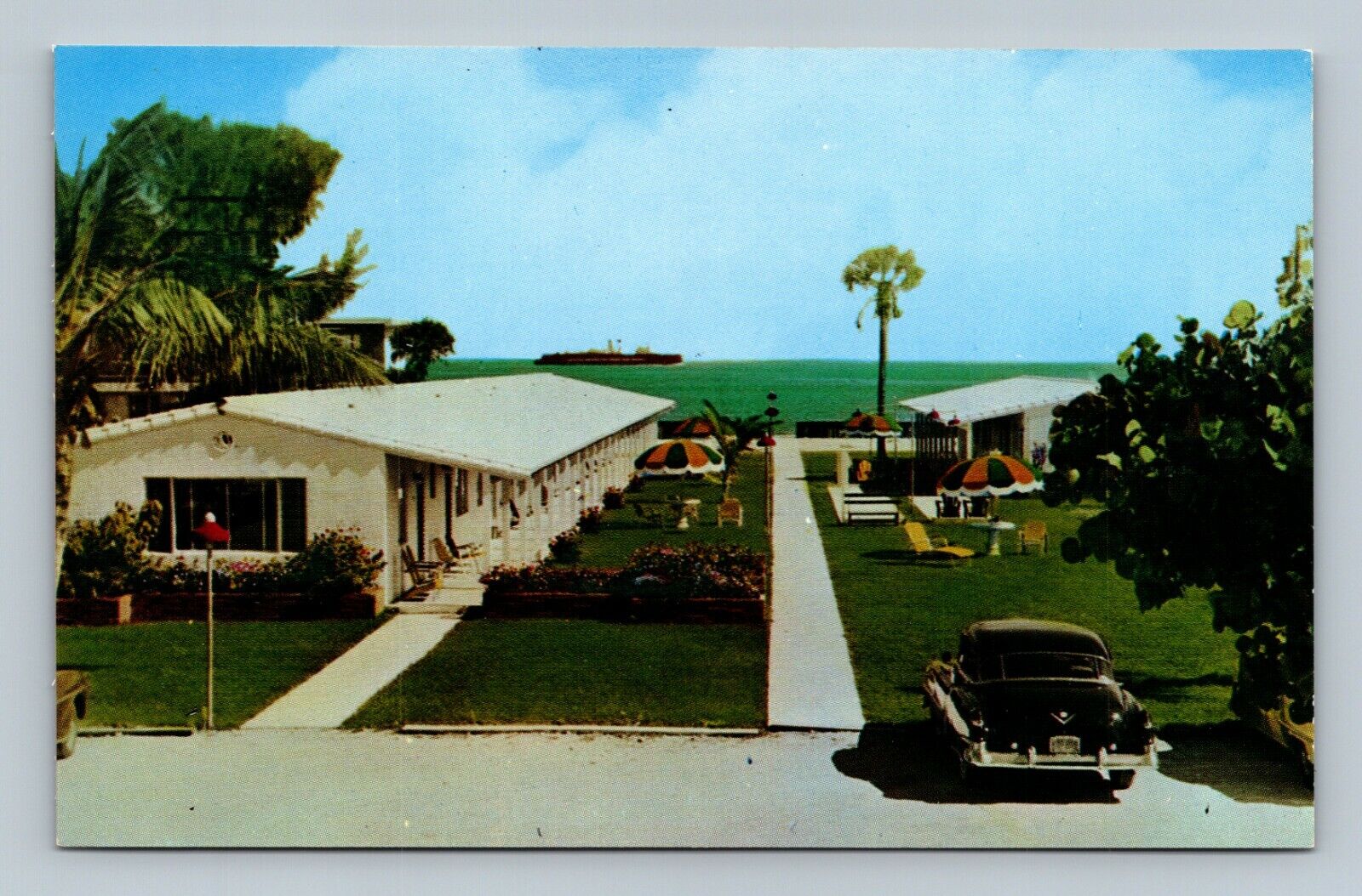 Pompano Beach Florida FL The Sea Grape Motel Chrome Postcard