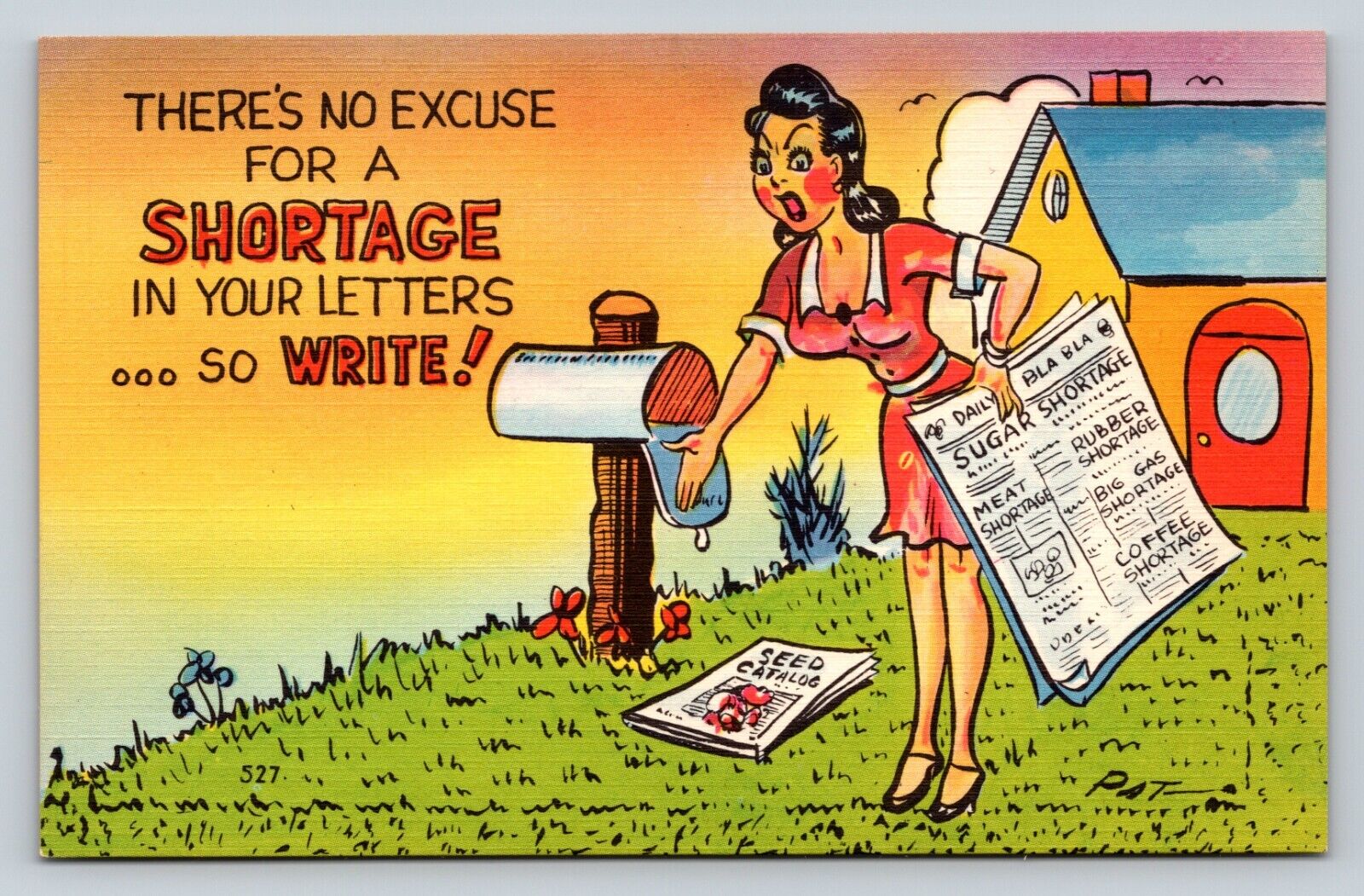 Woman Upset About Not Getting Letters, Demands Them To Write VINTAGE Postcard