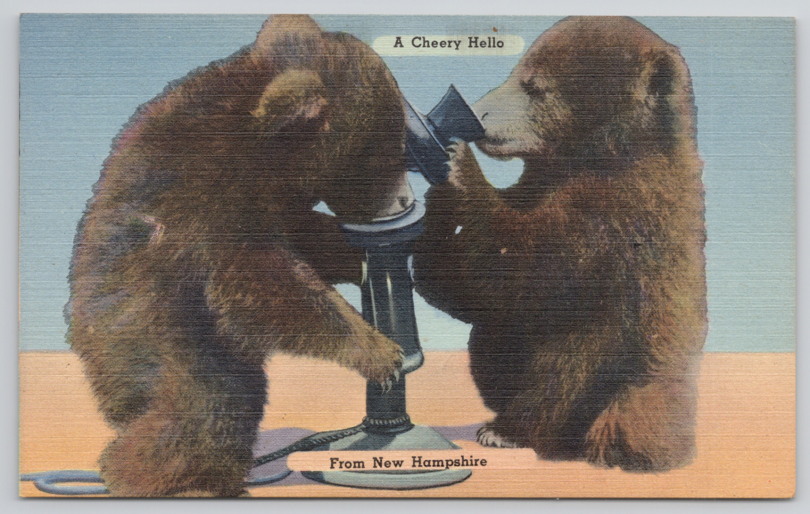 New Hampshire A Cherry Hello Bears Using Telephone Linen Postcard