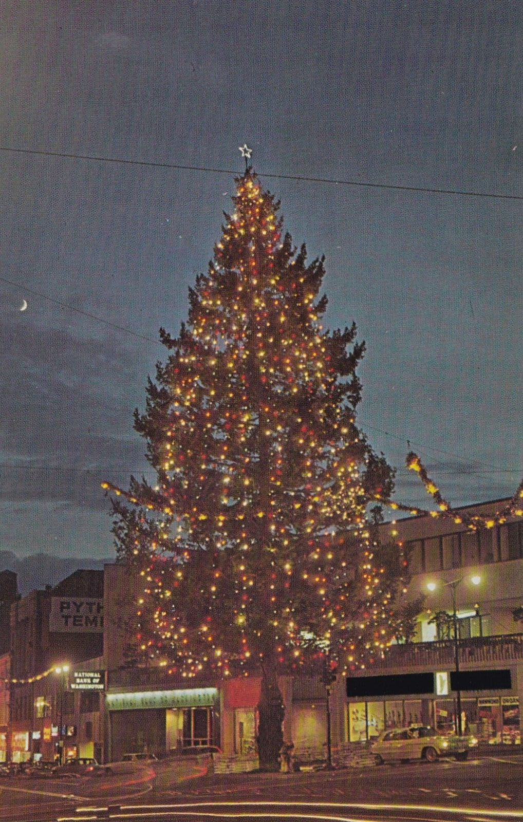 Champion Christmas Tree Tacoma Washington Postcard 1950\'s