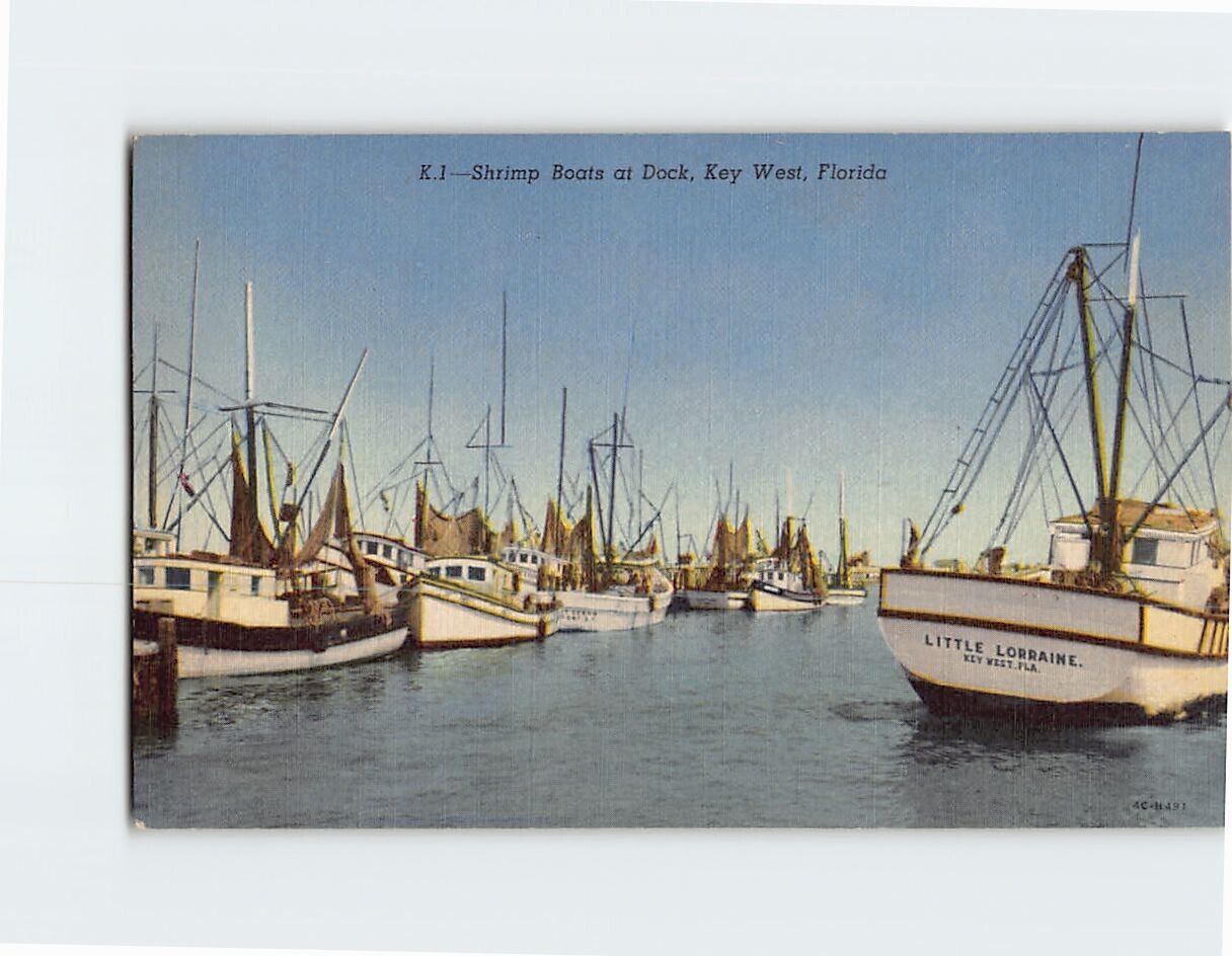 Postcard Shrimp Boats at Dock Key West Florida USA
