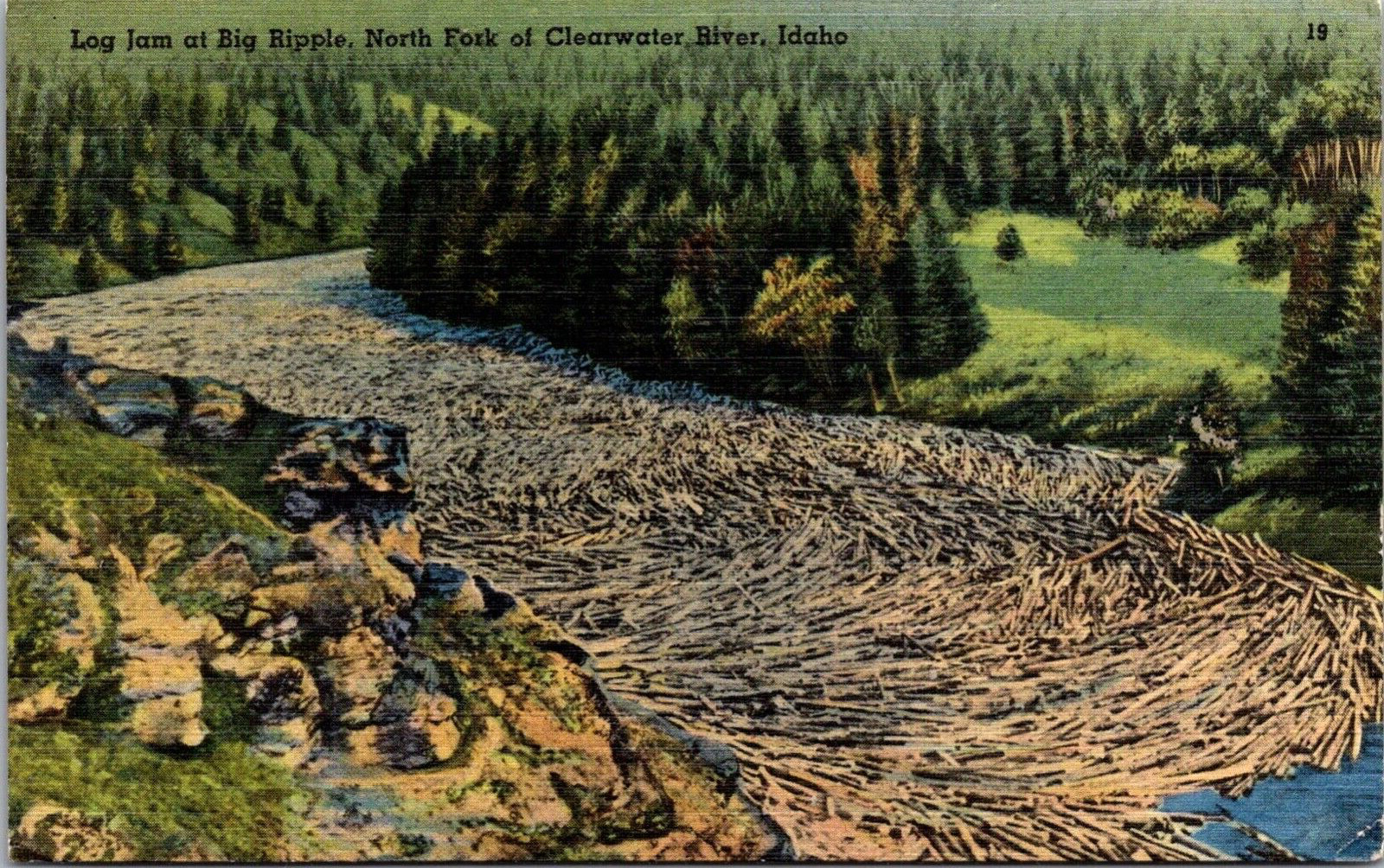 Postcard Annual Log Jam Big Ripple Clearwater River ID Idaho Potlatch Forestry