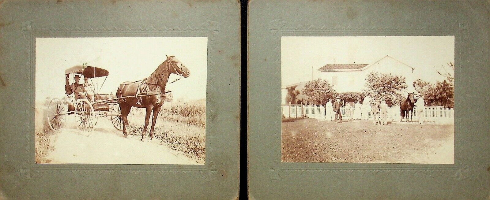 TWO HORSE CABINET CARDS 6\