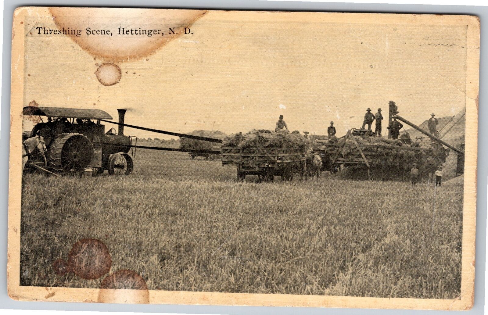 Farming~Thresher At Work In Field Hettinger North Dakota~Vintage Postcard