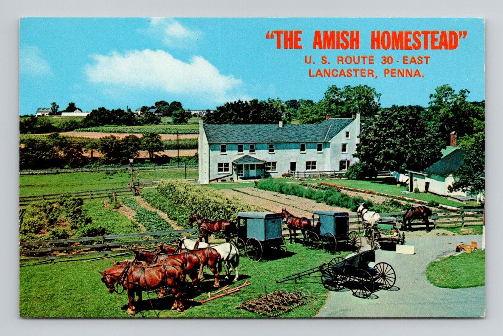 Postcard Amish Homestead Lancaster Pennsylvania, Vintage Chrome K4