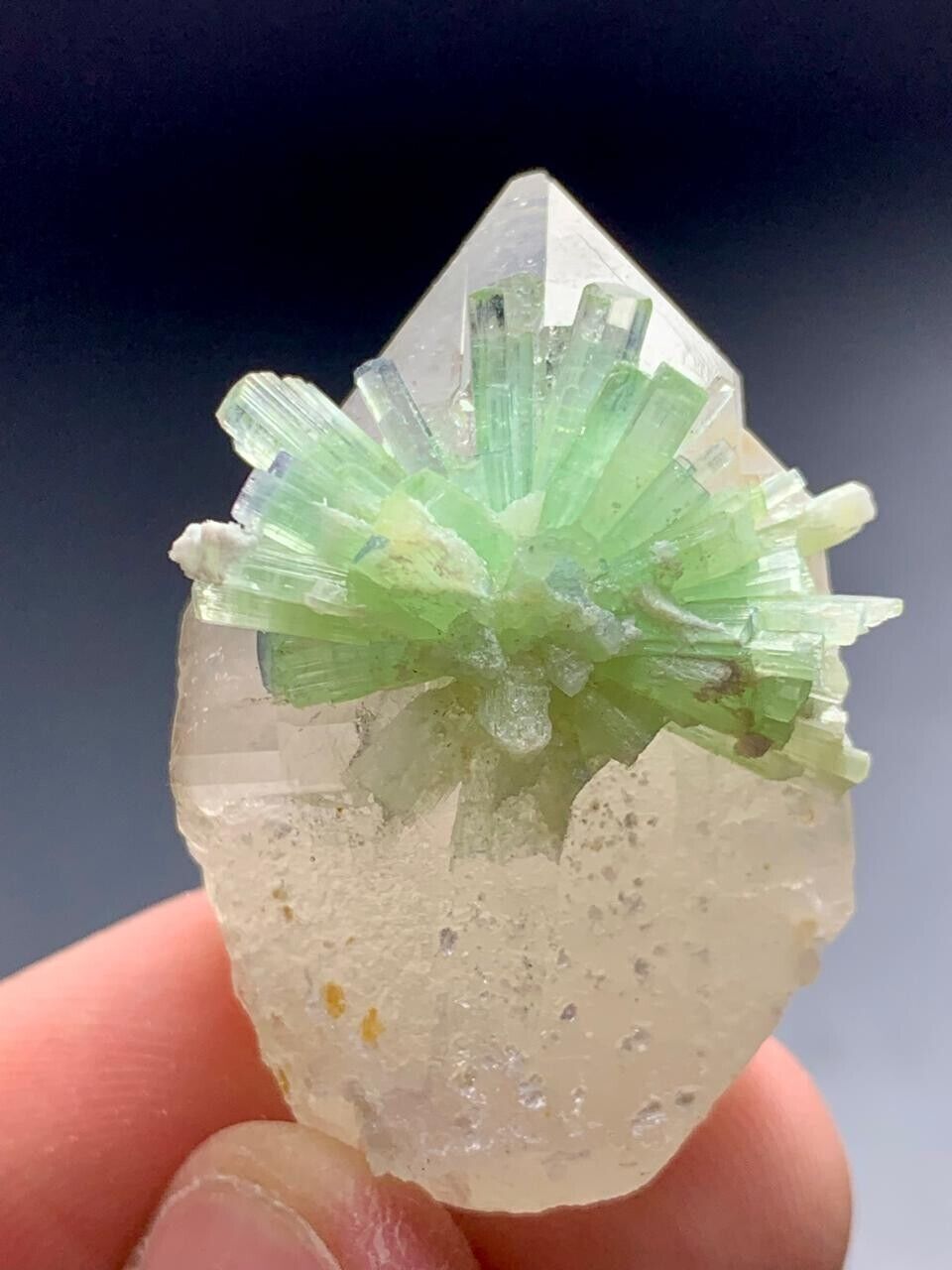 87 Cts Beautiful Green Tourmaline Crystal Bunch On Quartz Specimen Afghanistan