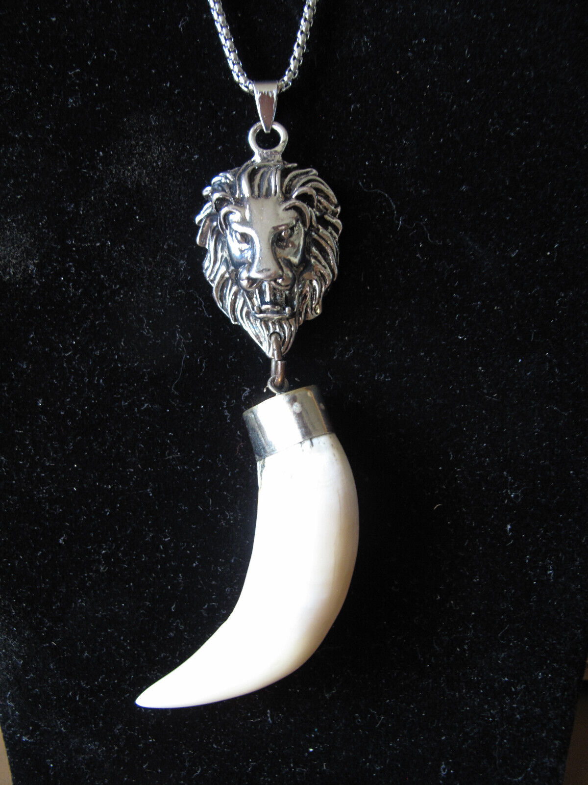 African Lion tooth Amulet
