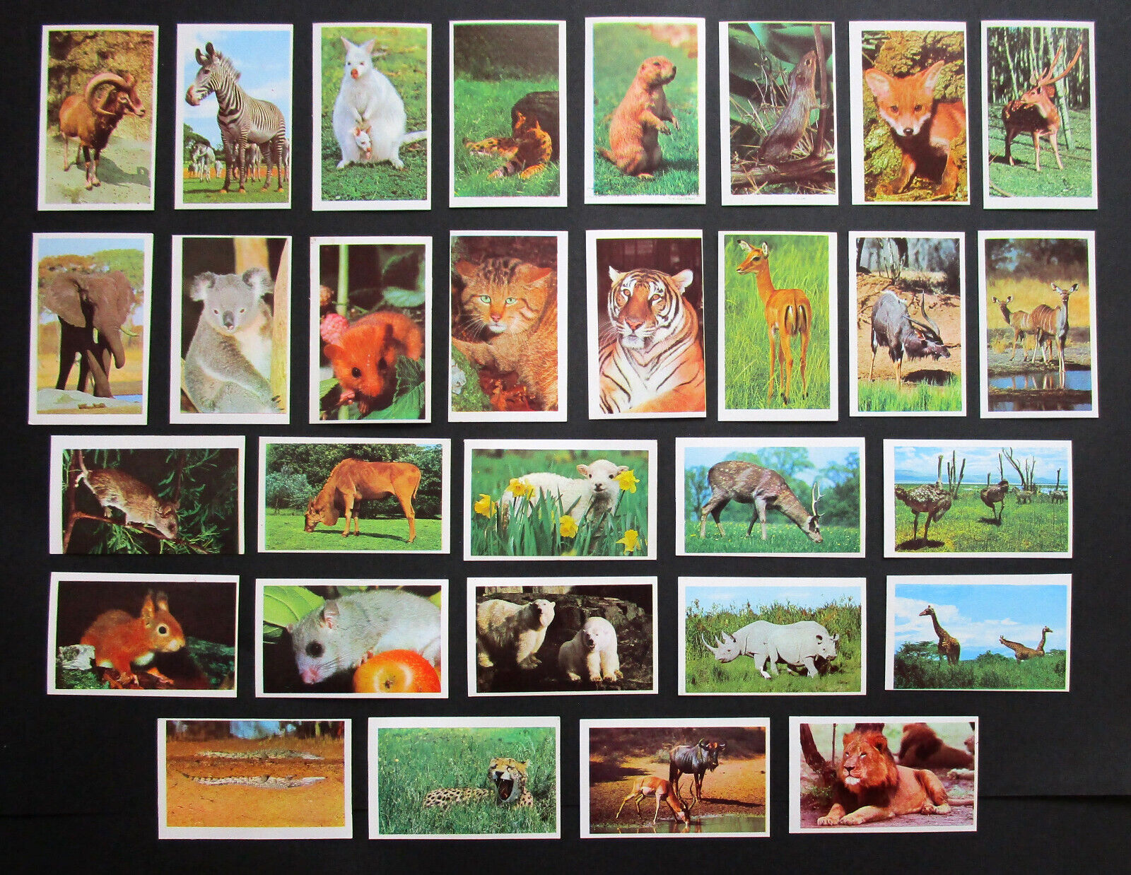 TRUCARDS  FULL SET OF 30 VERY COLLECTABLE  VINTAGE 1972 TRADE CARDS   ANIMALS