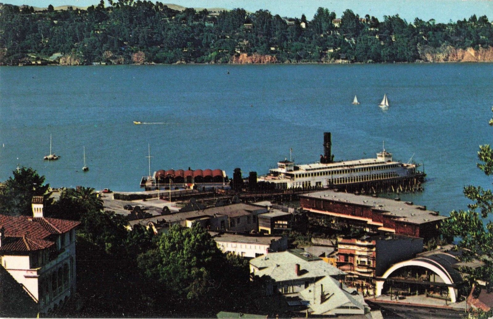 Sausalito CA California, San Francisco Bay, Sailboats, Cruise, Vintage Postcard