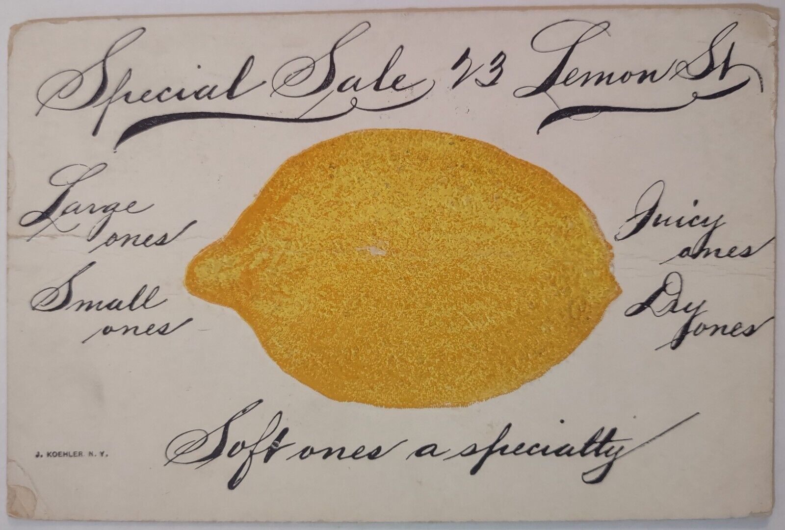 Vintage Postcard 23 Skidoo Embossed Textured Lemon 1907 AA40